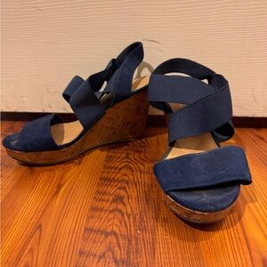 Navy Wedge Sandals